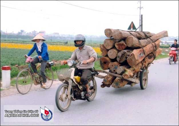 giải khuyến khích