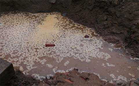  chôn hóa chất; độc hại; Nicotex Thanh Thái