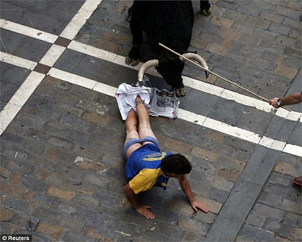 Người ta phải dùng một cây gậy để đánh lạc hướng con vật hung dữ