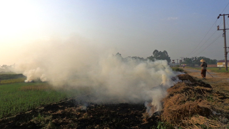 đốt rơm rạ