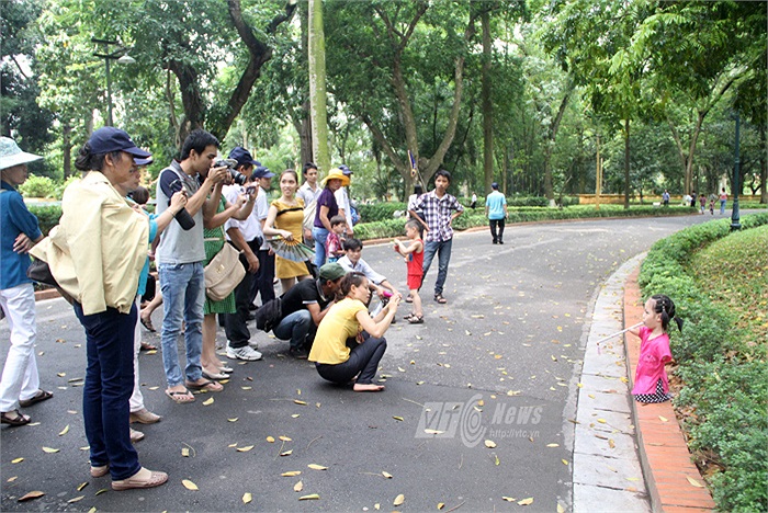Rất nhiều du khách đã nhanh chóng nhận ra Linh Chi - chính là cô bé đã giao lưu cùng Nick Vujicic trong trương trình được phát trực tiếp tối qua
