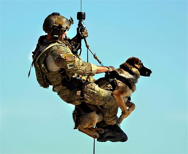 Chú chó nghiệp vụ phát hiện chất nổ được tời lên trực thăng HH-60G Pave Hawk của quân đội Mỹ