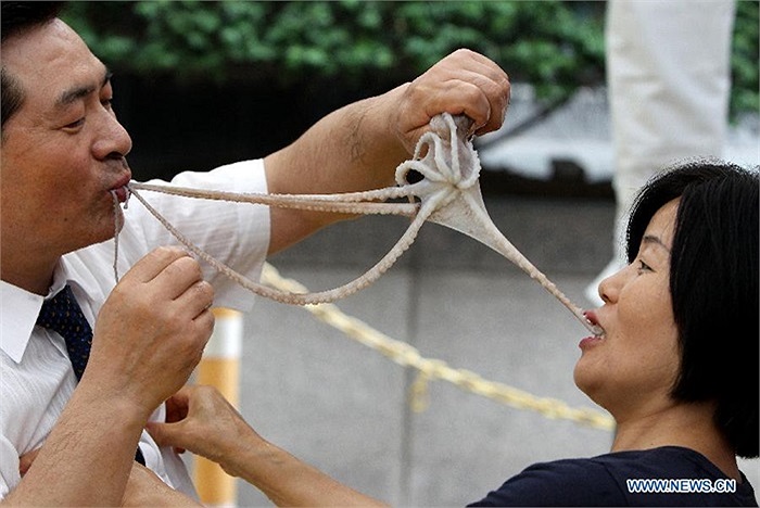 Những chiếc xúc tu dài ngoăng đòi hỏi sự khéo léo mới đưa vào miệng được