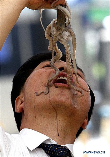 Hình ảnh người đàn ông chuẩn bị đút con bạch tuộc sống vào miệng khiến người xem rùng mình