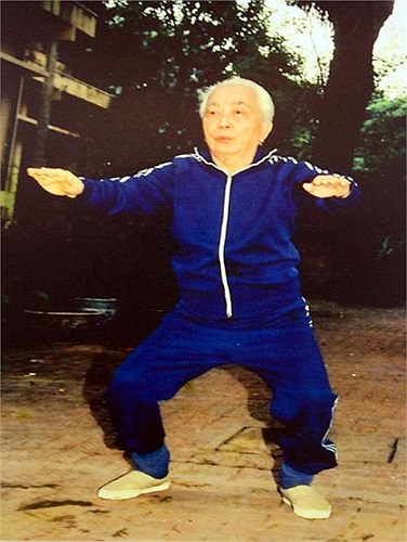 Tập thái cực quyền