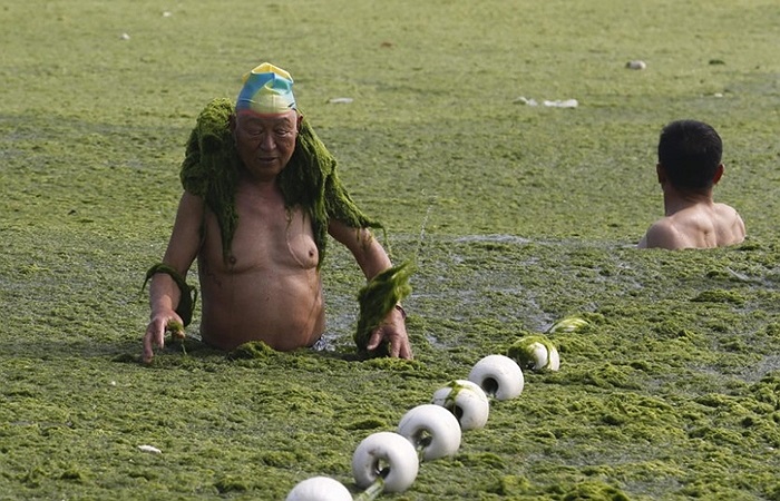 Khách du lịch ra khỏi bờ biển với tảo bám đầy hai vai