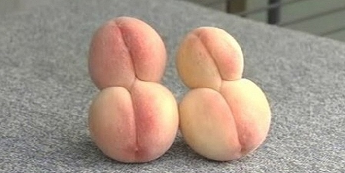 Đào sinh đôi dính liền