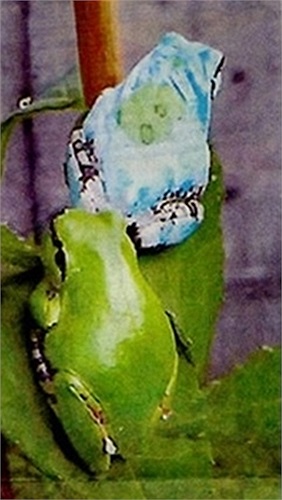 Hai chú ếch bị đột biến