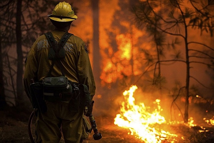 Lính cứu hỏa theo dõi đám cháy Rim Fire sau khi nó lan đến khu vực Camp Mather, California, Mỹ