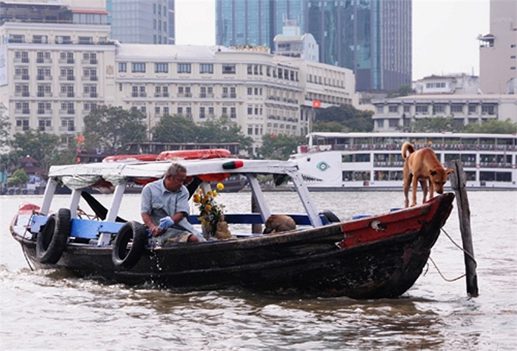 Và nhiều gia đình chọn con thuyền gỗ làm nơi trú ngụ.(Theo VNE)