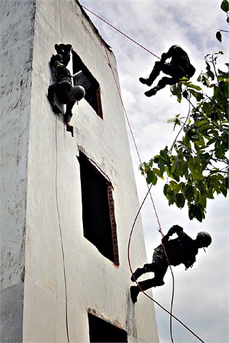 Là lực lượng chiến đấu đặc biệt tinh nhuệ, Tiểu đoàn Đặc công (Bộ Tham mưu, Quân khu 9) có nhiệm vụ huấn luyện, sẵn sàng chiến đấu, chống khủng bố, bảo vệ các mục tiêu trọng yếu tại Đồng bằng sông Cửu Long.