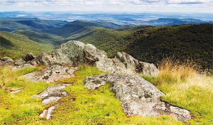 Núi Kaputar - Nơi tìm thấy rất nhiều loài động vật đặc hữu, chẳng hạn như ốc lông Kaputar và ốc ăn thịt Kaputar. 