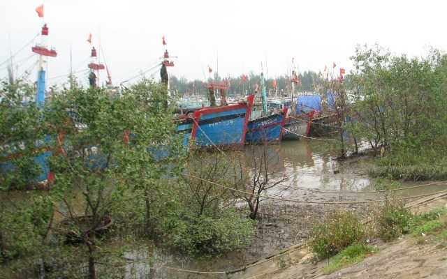 bão bebinca, bão số 2, quảng ninh, mưa lớn, áp thấp nhiệt đới