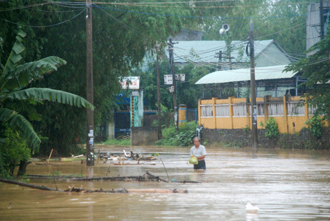 Bão số 10, miền trung, thiệt hại, đỗ sập, mất tích
