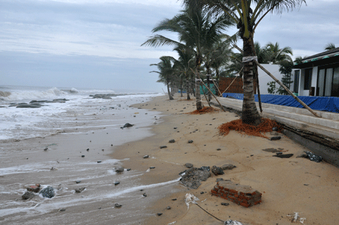 Bão số 10, sập nhà, chết tại chỗ, bị thương, ngập úng