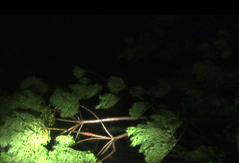 thiệt hại, bão số 6, mất tích, cây đổ, hải phòng, hà tĩnh, thanh hóa, tâm bão