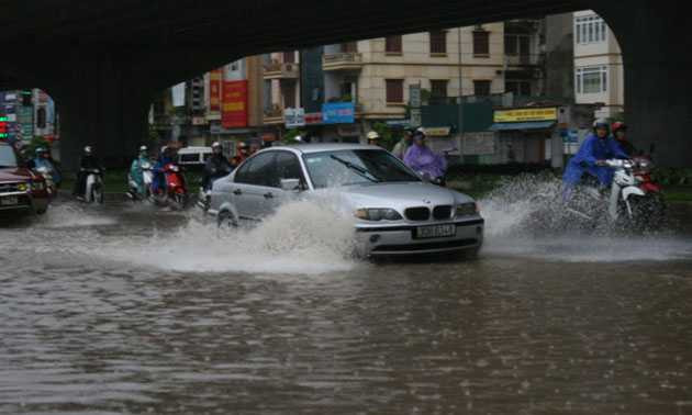 thiệt hại, bão số 6, mất tích, cây đổ, hải phòng, hà tĩnh, thanh hóa, tâm bão
