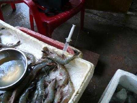 Phòng Cảnh sát phòng chống tội phạm về môi trường – Công an Tỉnh Nam Định phát hiện, bắt quả tang nhân công đang thực hiện bơm tạp chất vào tôm