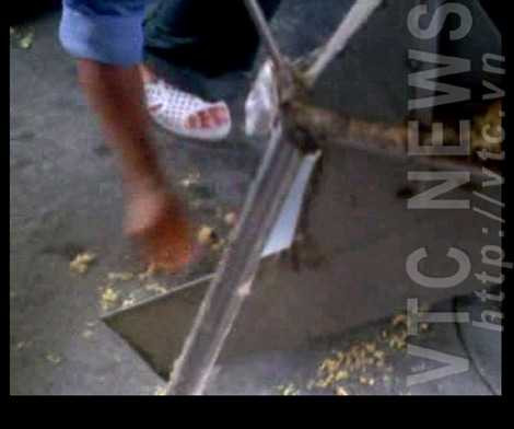 Ruốc rơi xuống gầm máy quay, anh thợ buôn đưa tay vét sạch, vô tư bỏ vào bao đem bán.