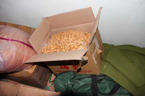 manh động, trộm cắp, băng nhóm, Đà Nẵng