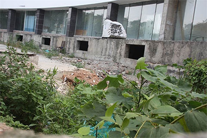 Cỏ dại mọc đầy.