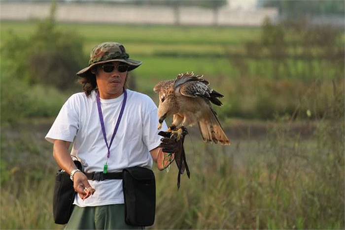 Môi trường sống của chúng thông thường là các dãy núi có độ cao 2.500 mét, hoặc hơn. Ở Việt Nam, núi cao như thế tương đối ít, nên diều núi cũng chấp nhận môi trường sống thấp hơn.