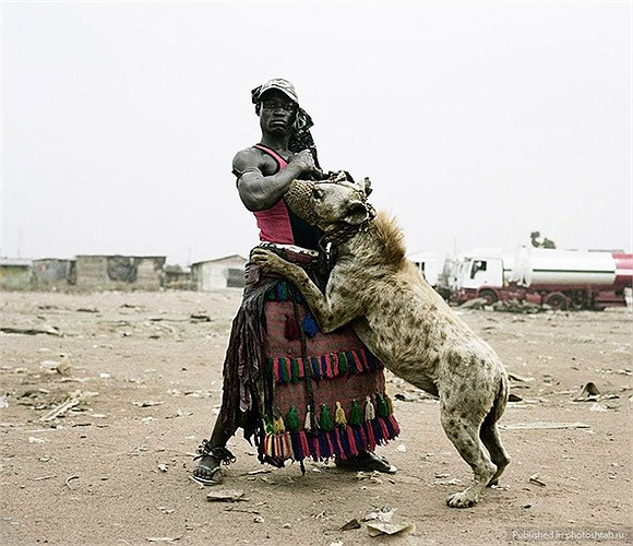 Loài linh cẩu đốm có tiếng kêu không khác gì tiếng người cười, với điệu cười hết sức man rợ.