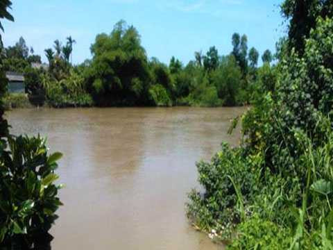 Kim Tu Long danh bac