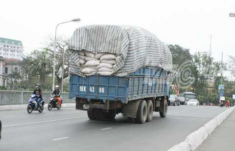 Sở GTVT Hải Phòng, container, vận tải