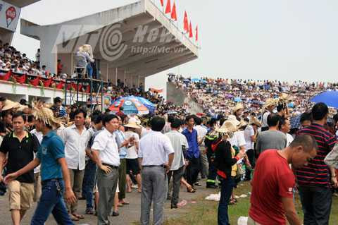 hội chọi trâu Đồ Sơn, Hải Phòng, 'ông trâu', 'phe vé'