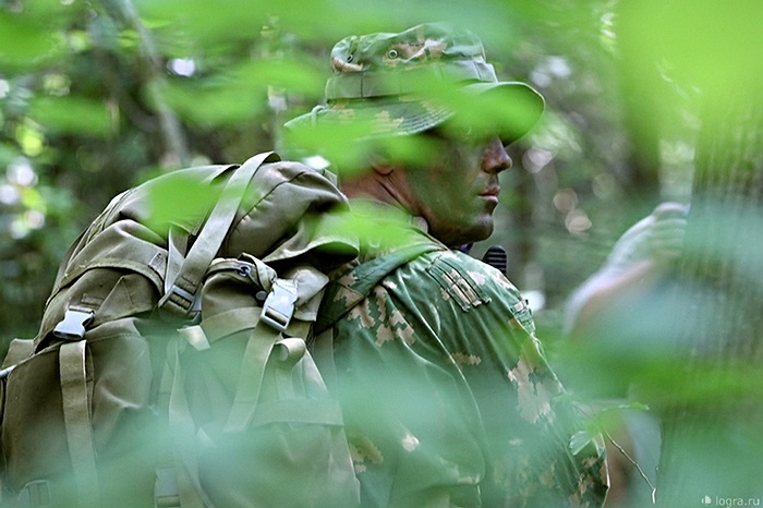 Thậm chí, khi dừng lại quan sát, đàn muỗi còn lao đến trực hút máu vi mùi mồ hôi của họ