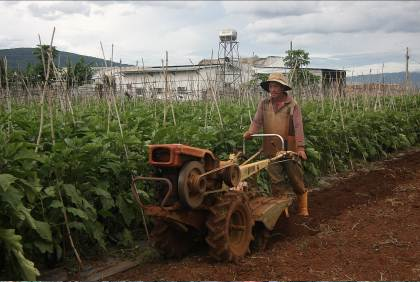  Chuẩn bị cho một vụ rau mới