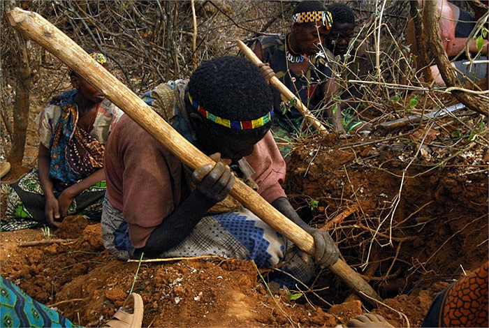 Người Hadza hoặc Hadzabe là một nhóm sắc tộc trong cộng đồng các dân tộc phía bắc miền trung Tanzania.