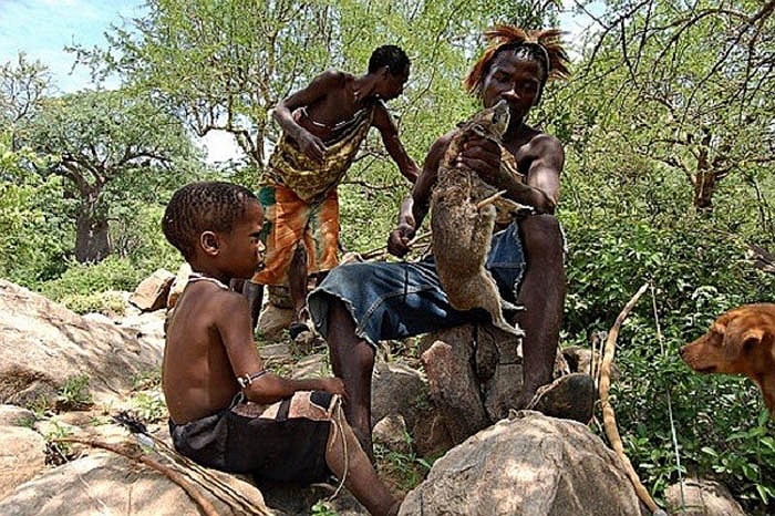 Đến giai đoạn thứ 2, những người khổng lồ này rụng hết lông. Mặc dù vậy, họ vẫn có sức mạnh của thần linh, khuất phục các loài vật. Người khổng lồ không lông lá ngủ trên cây, ăn sống các con vật. 