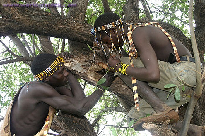 Họ không có thần linh, không có tộc trưởng, tù trưởng, lãnh tụ, không sở hữu tài sản riêng và quan hệ quần hôn.