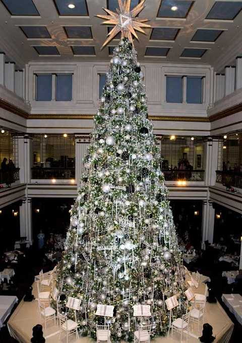 Cây thông noel của Victoria Beckham - David Beckham