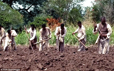 Brad pitt_12 Years A Slave 