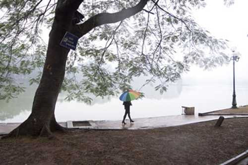 dự báo thời tiết, tuần tới, mưa giông, nắng nóng