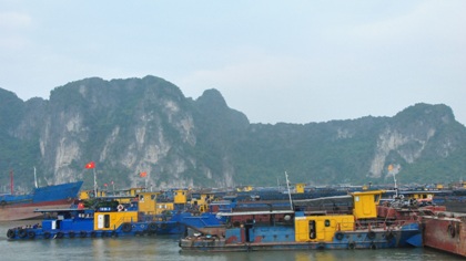 hải phòng, thái bình, nam định, quảng ninh, chống bão, bão số 5, bão jebi