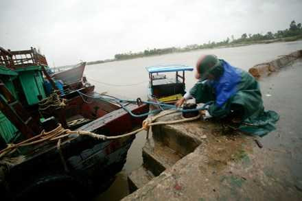 hải phòng, thái bình, nam định, quảng ninh, chống bão, bão số 5, bão jebi