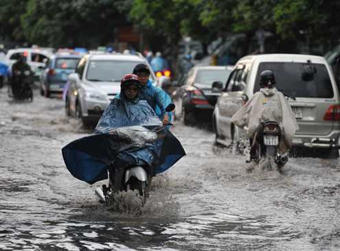 hải phòng, thái bình, nam định, quảng ninh, chống bão, bão số 5, bão jebi