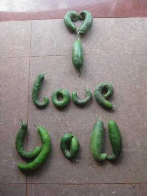 Cách tỏ tình 'độc nhất vô nhị' của giới trẻ