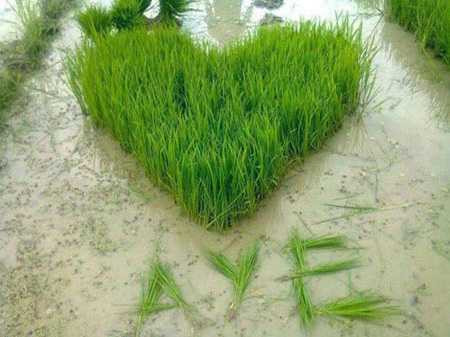 Cách tỏ tình 'độc nhất vô nhị' của giới trẻ