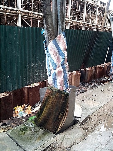 Mùi hôi thối bốc lên từ cống nên người dân phải dùng chiếu bọc xung quanh.