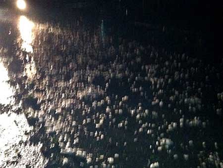 Mưa đá xuất hiện lúc 0h50 đến 1h10 sớm 27/3 tại 3 huyện Mường Khương, Bắc Hà và Si Ma Cai. (Ảnh VNE)