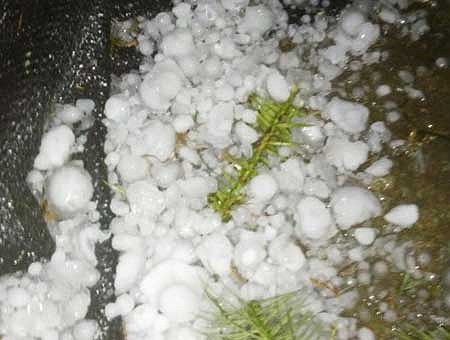 Đường kính trung bình của hạt đá khoảng 4 - 6cm, nhiều hạt đá to bằng hoặc lớn hơn chiếc bát con.(Ảnh Dân Việt)