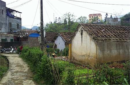 Tại thị trấn Mường Khương và 11 xã của huyện, các mái nhà lợp ngói đều bị vỡ hết.(Ảnh VNE)