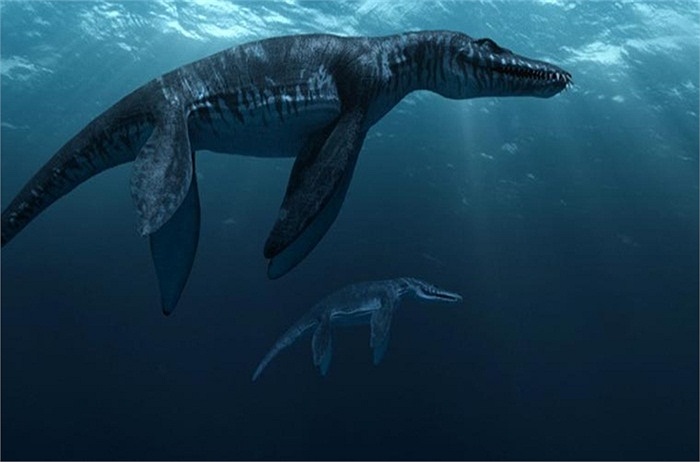 Liopleurodon là loài thằn lằn biển có chiều dài lên tới 6m, trong khi bộ hàm của chúng đã dài gần bằng nửa cơ thể
