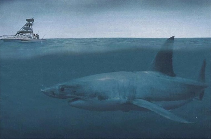 Megalodon là một trong những loài cá mập lớn nhất từng được ghi nhận