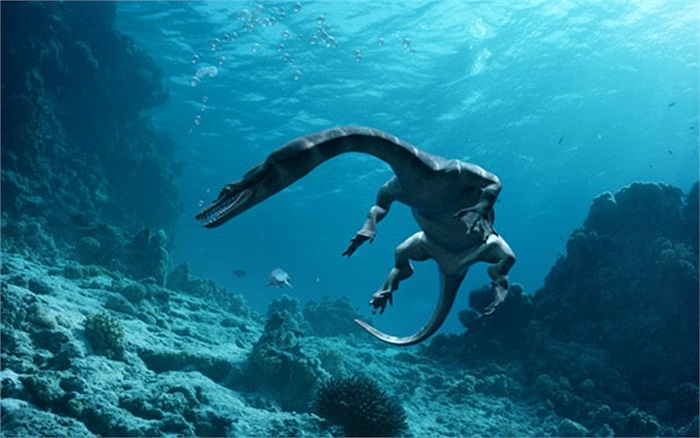 Các bằng chứng hóa thạch cho thấy loài này sống ở kỷ Trias, cùng thời với Shastasaurus